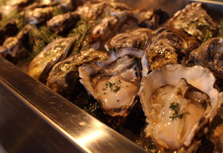 ~Oyster~